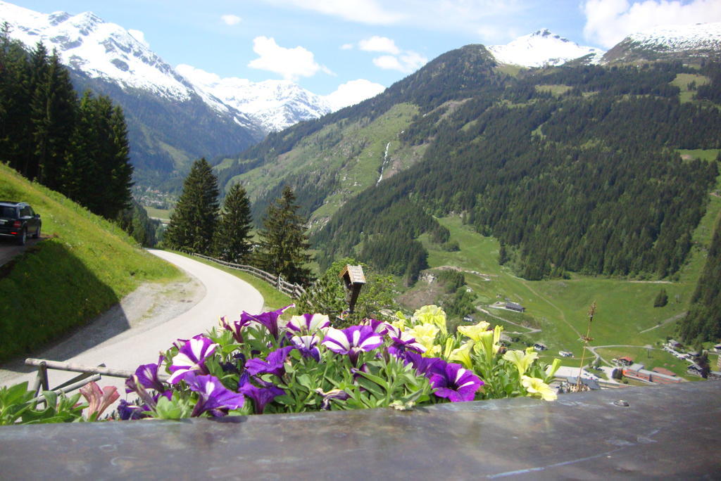 Schachengut Villa Bad Gastein Oda fotoğraf